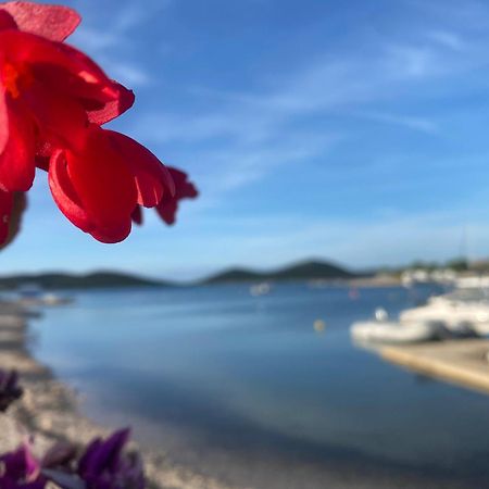 Amore Del Mare, Seaside Family Pace, Free Parking And Wifi In Camp Dalmatino Drage Exterior foto